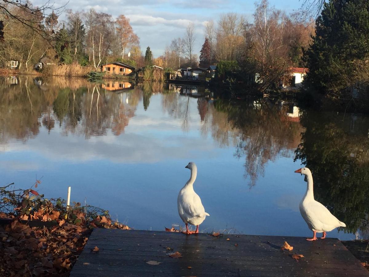 Vakantiehuisje De Waterhoek Villa Geel Kültér fotó