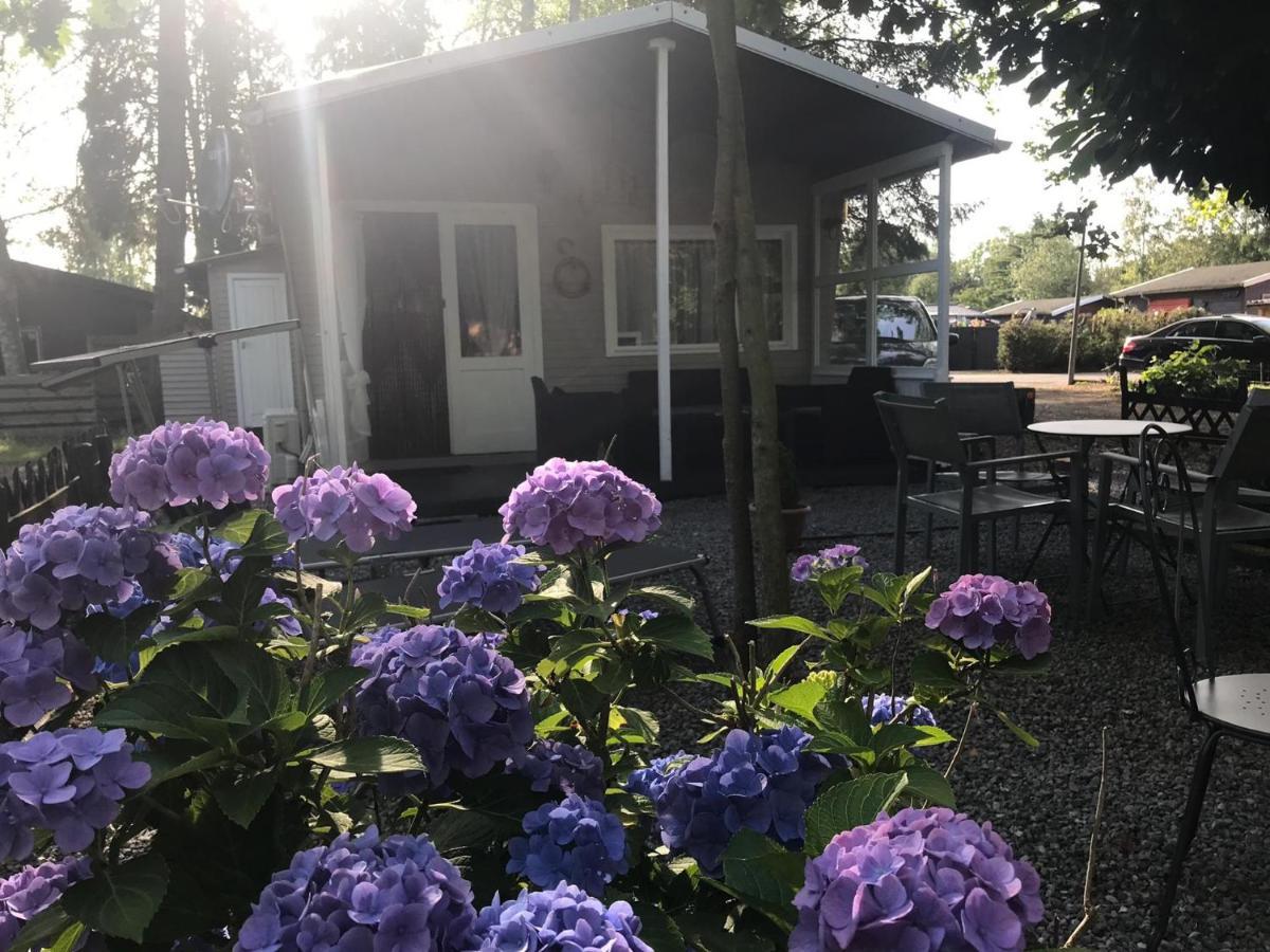 Vakantiehuisje De Waterhoek Geel Kültér fotó